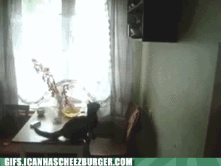 9wzdrfderekzkjyn0ywk7g2_medium