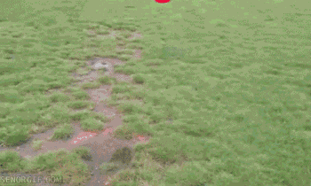 Bfpsnz_p2kkeqzcwljvf1q2_medium