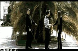 D_ypktfmz0ksiigxha3kea2_medium