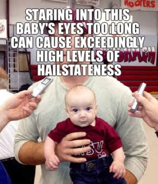 6810052023_2d063bffbf_medium